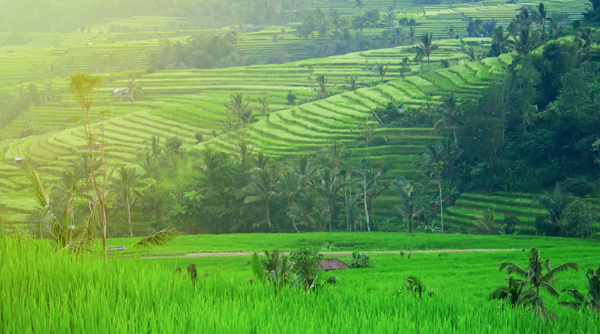 SCENERY mountain`SN 134